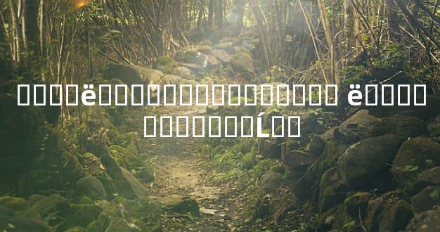 ����ë���ܼ������Ƶ�Ӱ�� ë���ܼ������ƵĹ�ϵ